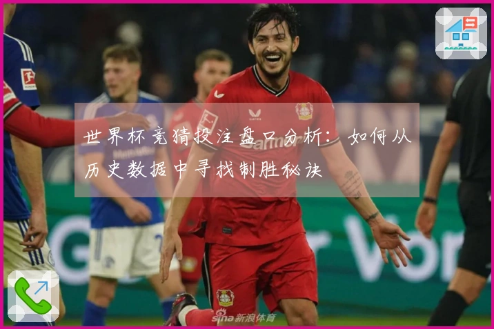 世界杯竞猜投注盘口分析：如何从历史数据中寻找制胜秘诀
