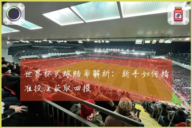 世界杯买球赔率解析：新手如何精准投注获取回报