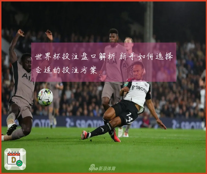 世界杯投注盘口解析 新手如何选择合适的投注方案