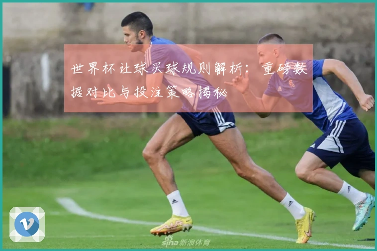 世界杯让球买球规则解析：重磅数据对比与投注策略揭秘