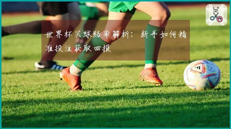 世界杯买球赔率解析：新手如何精准投注获取回报