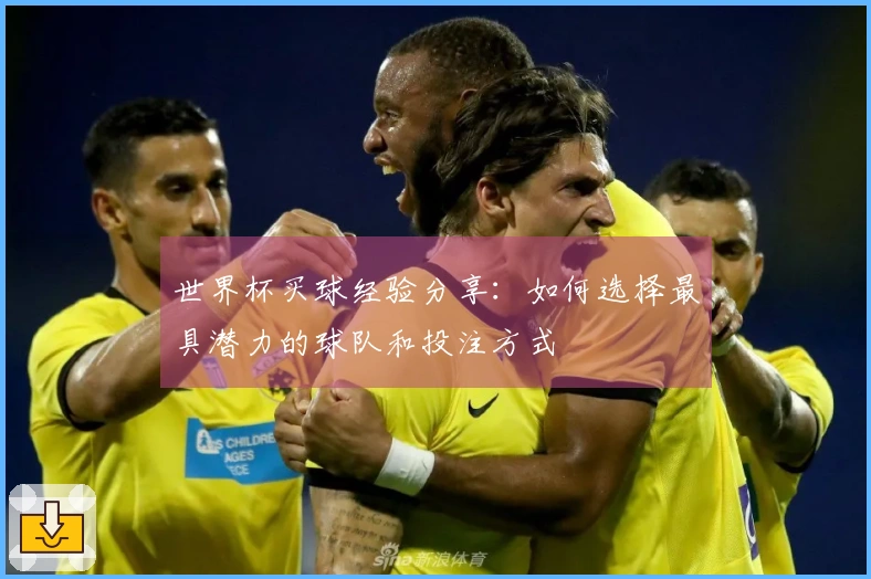 世界杯买球经验分享：如何选择最具潜力的球队和投注方式