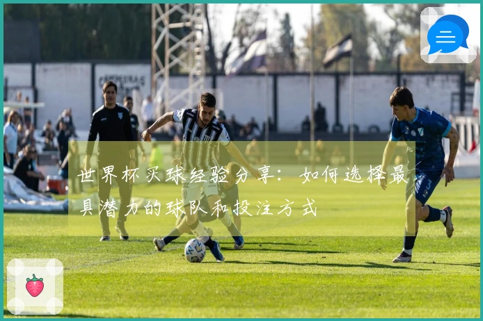 世界杯买球经验分享：如何选择最具潜力的球队和投注方式