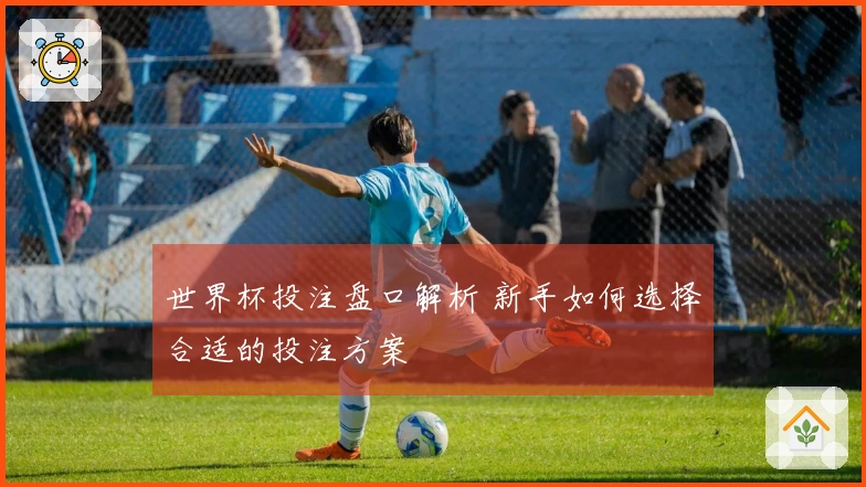 世界杯投注盘口解析 新手如何选择合适的投注方案