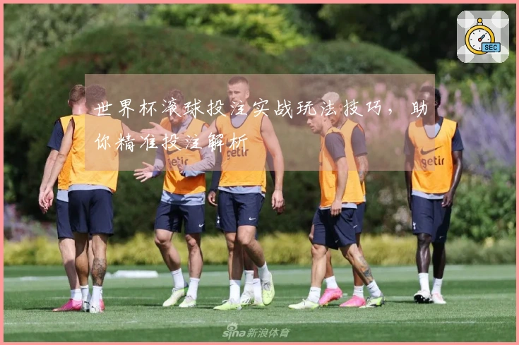 世界杯滚球投注实战玩法技巧，助你精准投注解析