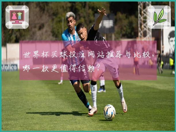 世界杯买球投注网站推荐与比较，哪一款更值得信赖？
