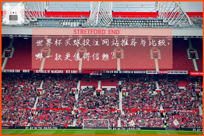世界杯买球投注网站推荐与比较，哪一款更值得信赖？
